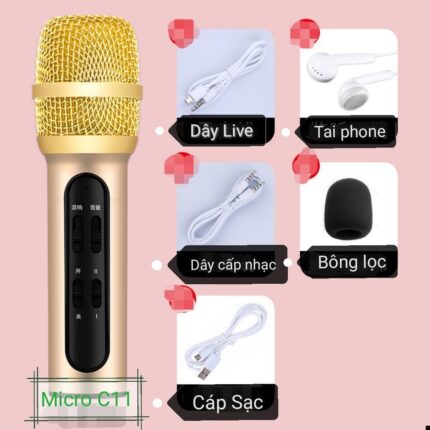 micro livestream giá rẻ c11