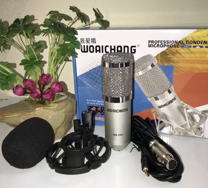 micro hat thu am bm900 sound card