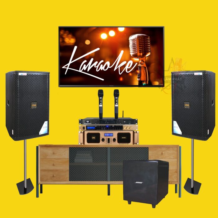 Dan karaoke nen vang 3 scaled 1
