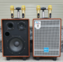 Loa Karaoke Di Động AZPro AZ308