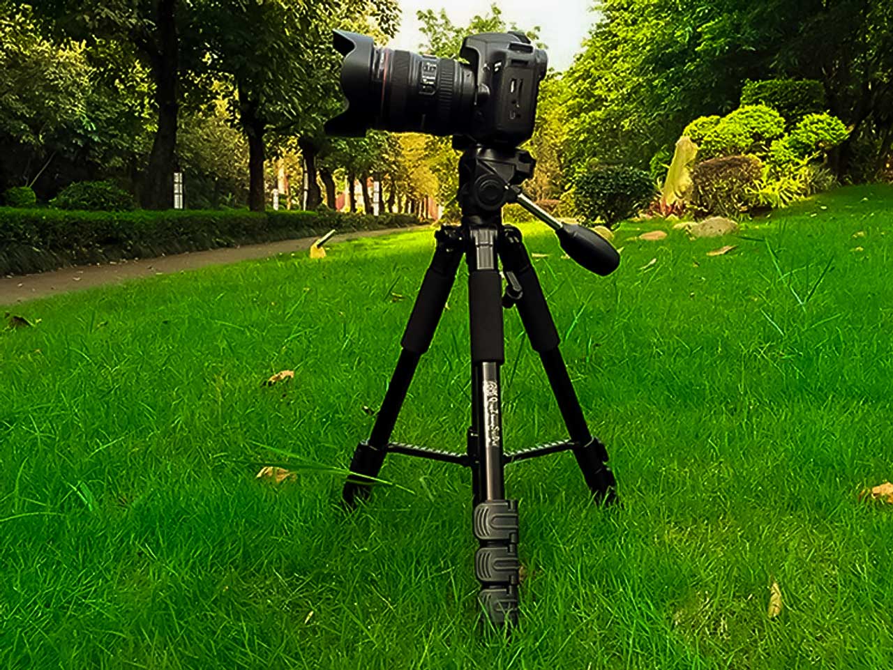 Tripod Beike Q111 chân máy ảnh chuyên nghiệp giá tốt
