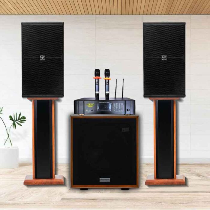 Dan karaoke gia dinh LP Pro M2450